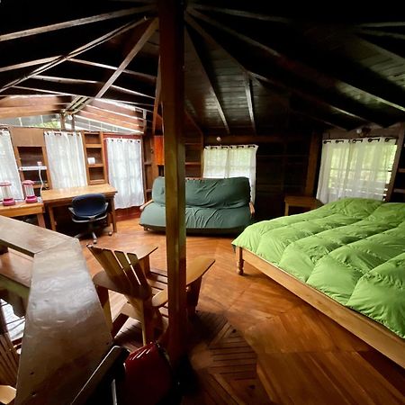 Los Quetzales Ecolodge & Spa Cerro Punta Exteriör bild