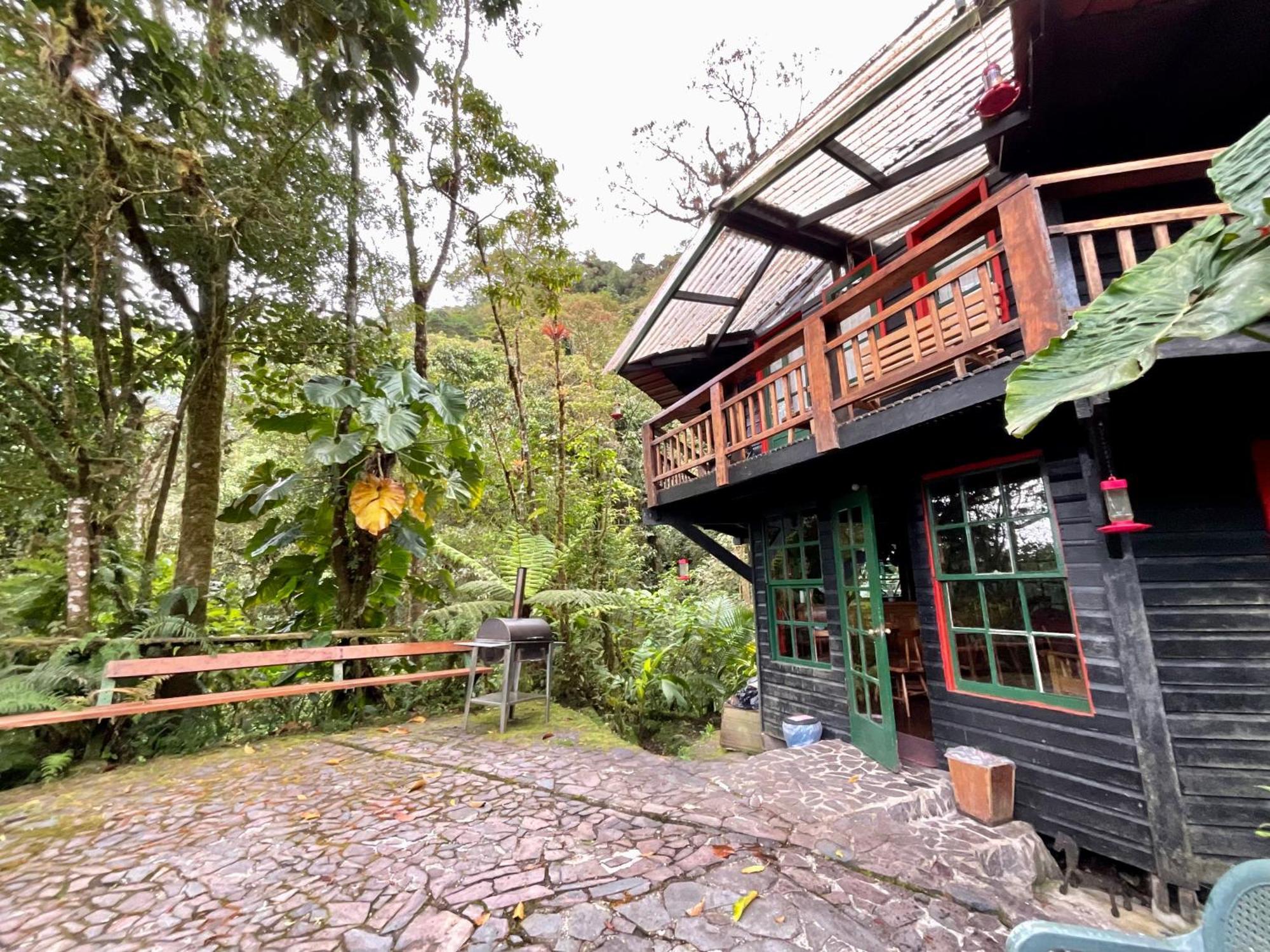 Los Quetzales Ecolodge & Spa Cerro Punta Exteriör bild