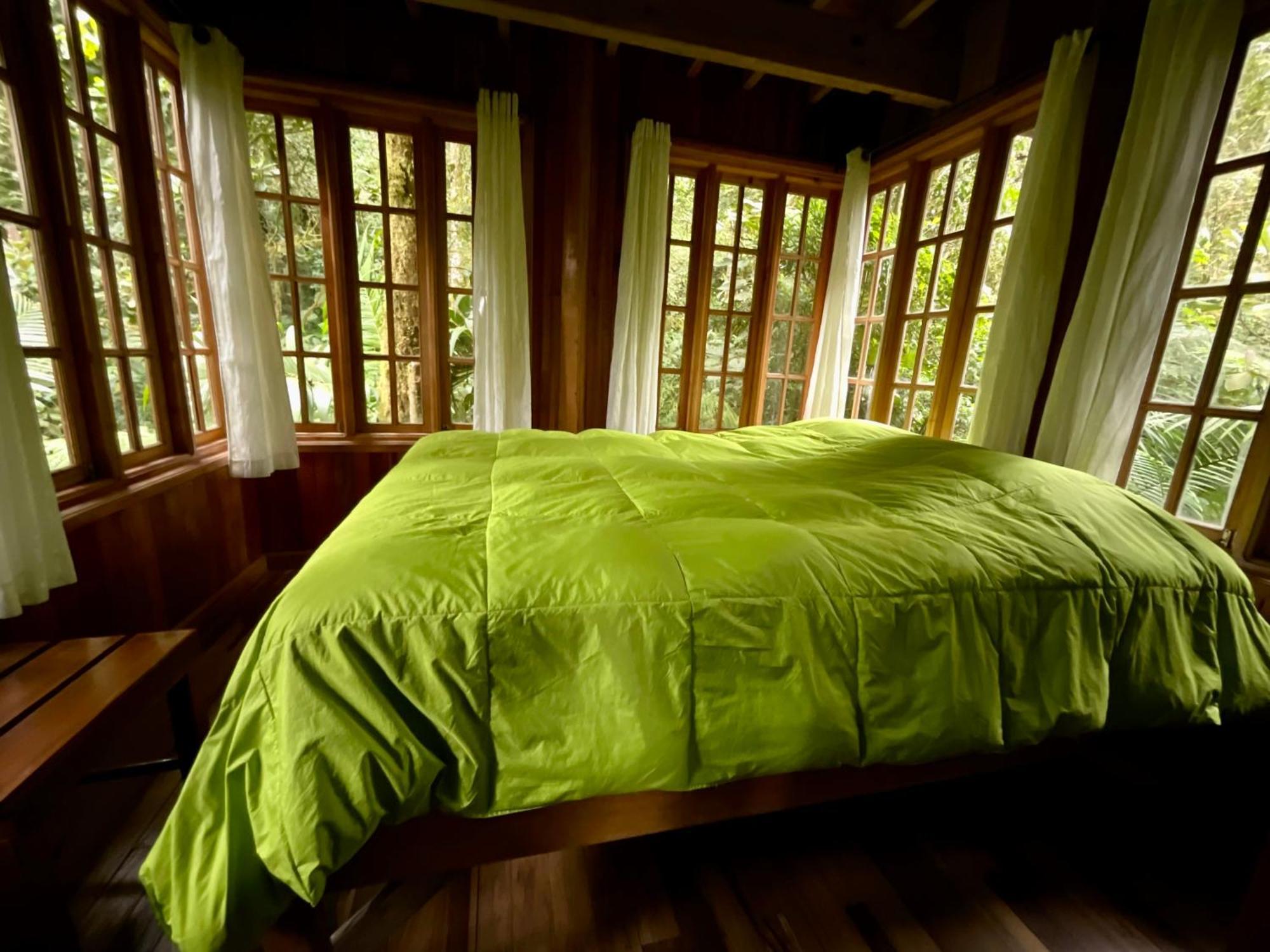 Los Quetzales Ecolodge & Spa Cerro Punta Exteriör bild