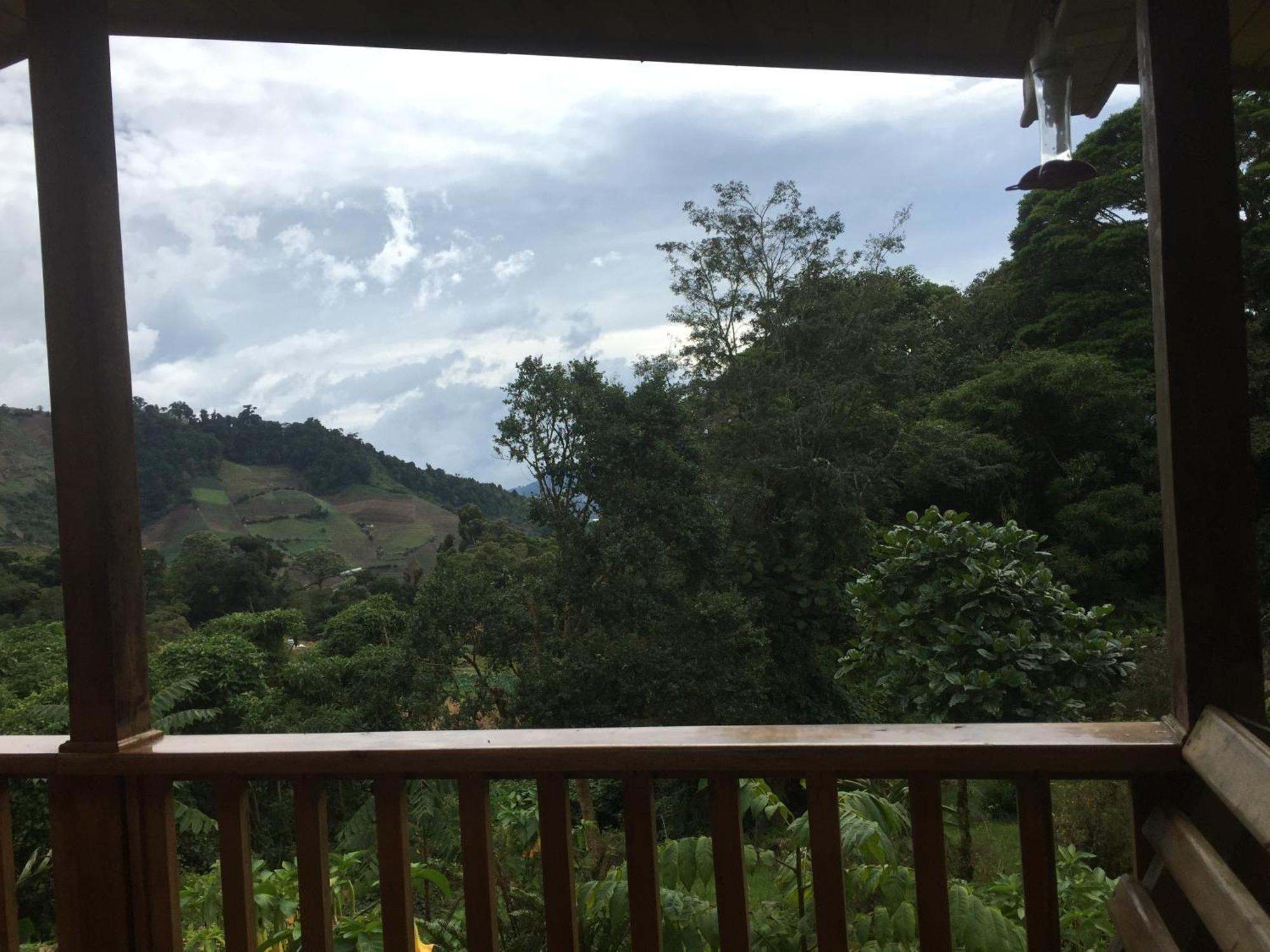 Los Quetzales Ecolodge & Spa Cerro Punta Exteriör bild