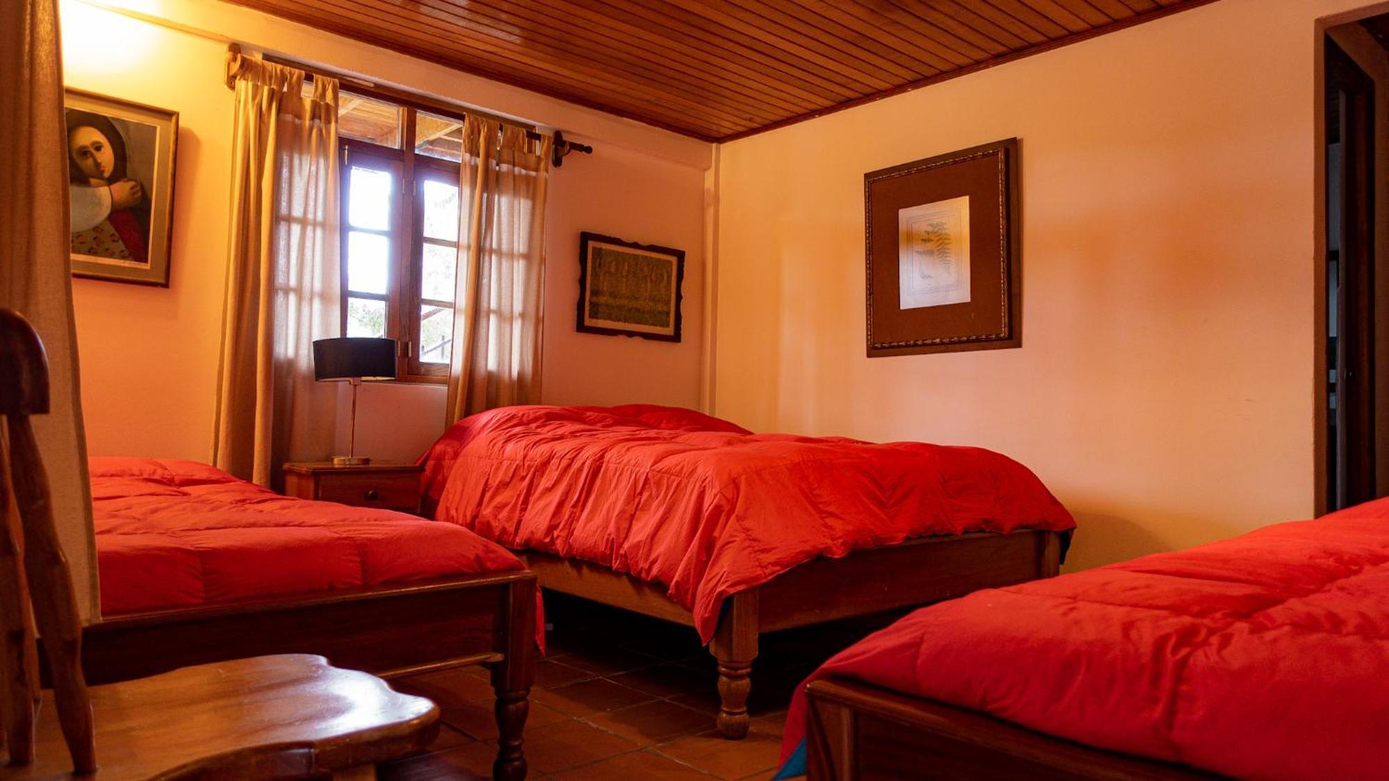 Los Quetzales Ecolodge & Spa Cerro Punta Exteriör bild