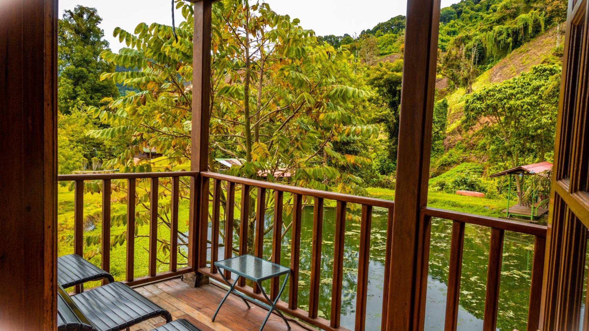 Los Quetzales Ecolodge & Spa Cerro Punta Exteriör bild