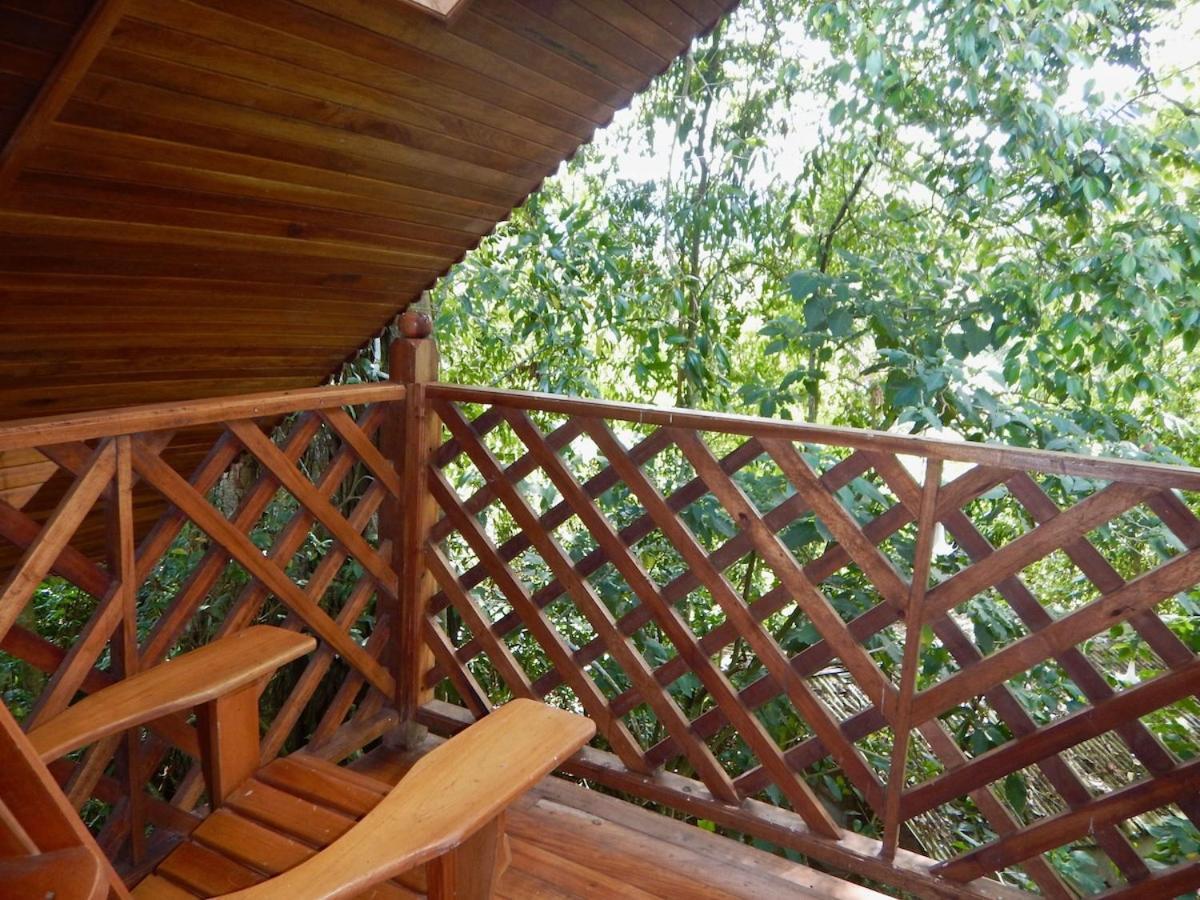 Los Quetzales Ecolodge & Spa Cerro Punta Exteriör bild